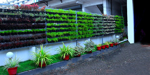 Sana Residency | Lodge Near Aluva